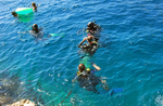 _DSC_0947 (700x458, 349Kb)