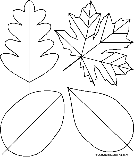 leaftemplate (520x609, 8Kb)