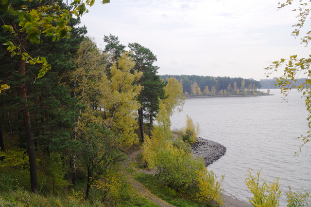 DSC02704 (640x425, 396Kb)