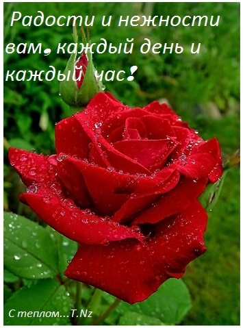--3 (355x479, 140Kb)