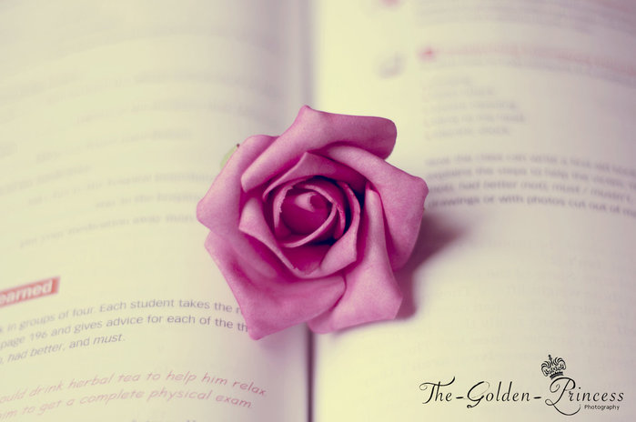 5494844_book_s_rose_by_the_golden_princessd4misq4 (700x464, 40Kb)