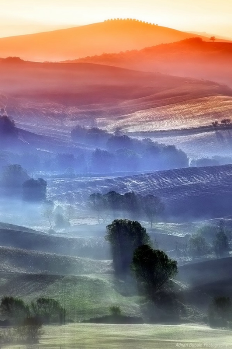 1082125707 (466x700, 205Kb)