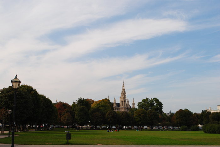 DSC_101088 (656) (700x468, 293Kb)