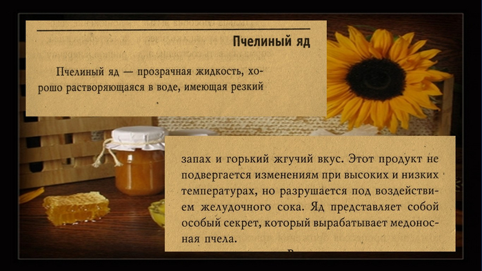 В каких случаях яд может быть лекарством. Пыльца пчелиная польза. Полезен ли пчелиный яд для человека. Пчелиный яд польза. Пыльца и перга.