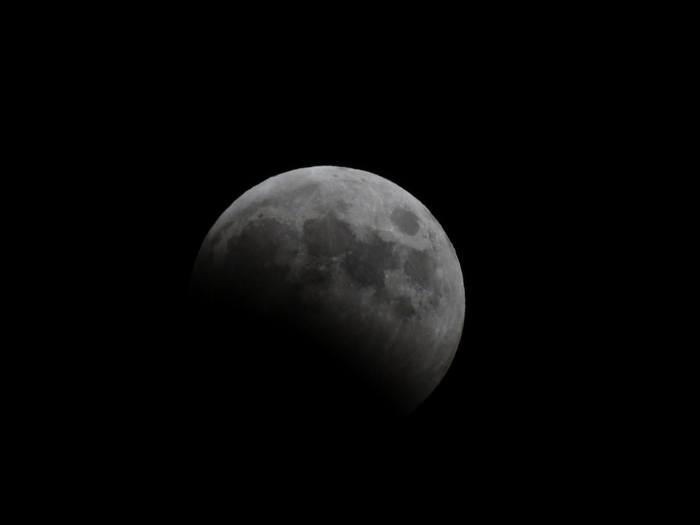 5559494_DSC08964 (700x525, 30Kb)