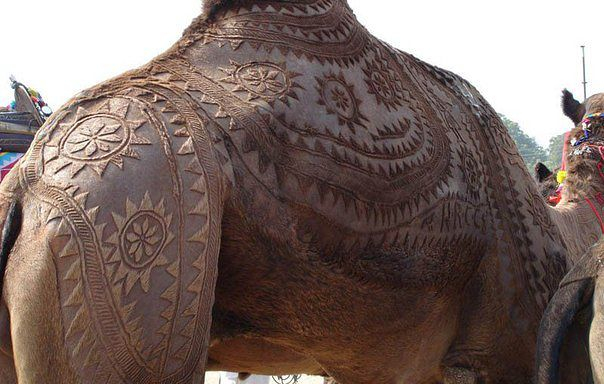 getImage (4) (604x384, 211Kb)