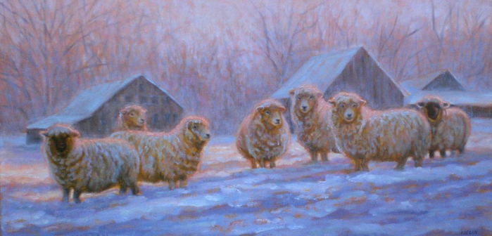 Sheep_in_Early_Morning_12x24.162110146_large (700x336, 277Kb)