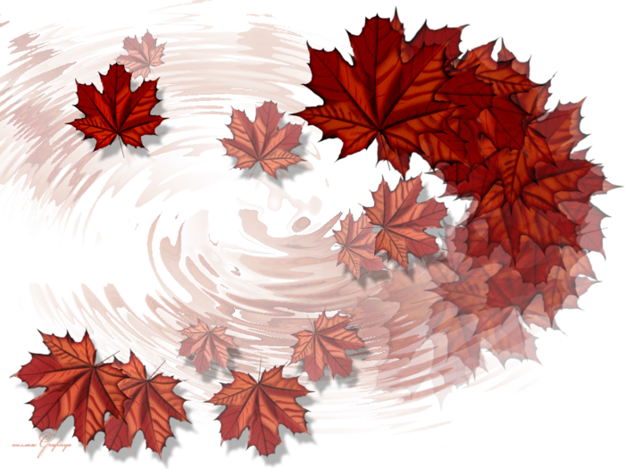 15-10-14-3   (700x525, 561Kb)
