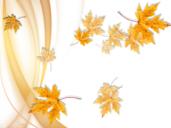 Осенняя рамка с красивым листом, вклеить фото онлайн
