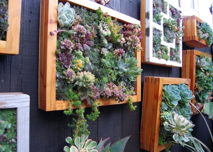 Вертикальное озеленение стен — 15 идей по декору и мастер-класс