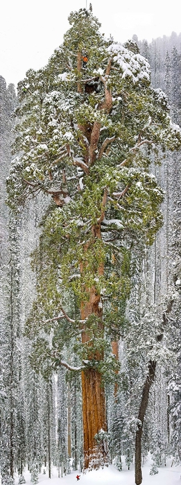 small-man-grand-nature-landscape-photography-24 (261x700, 195Kb)