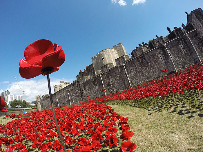 ceramic-poppies-first-world-war-installation-london-tower-3 (700x525, 536Kb)
