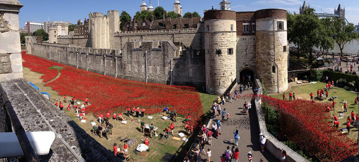 ceramic-poppies-first-world-war-installation-london-tower-13 (700x315, 310Kb)