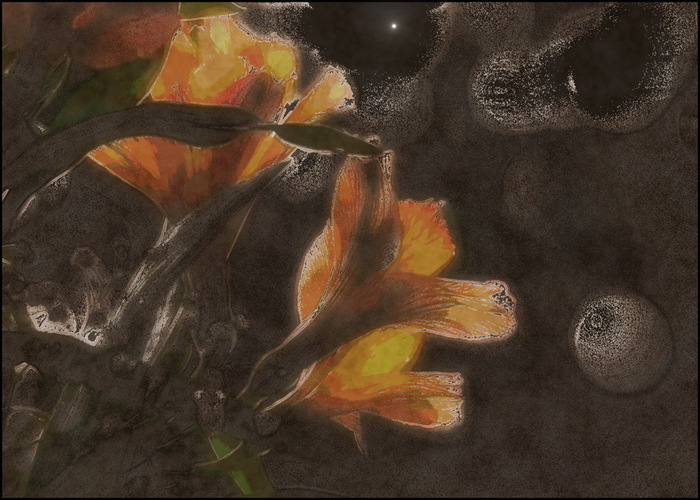 DO_XVII (700x500, 123Kb)