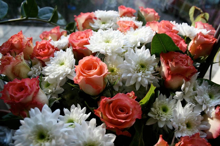 Фото розы с хризантемами фото