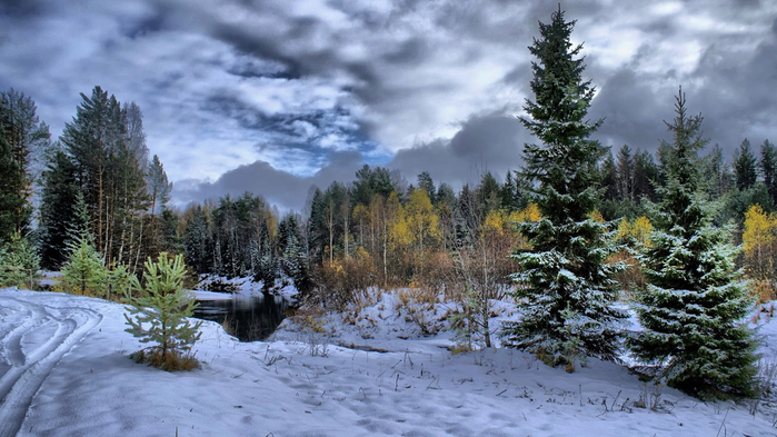 winter-landscape-wallpaper-1366x768 (700x393, 357Kb)