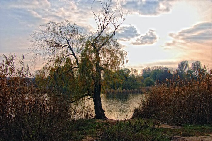 5361707_donr_peski1 (700x464, 96Kb)