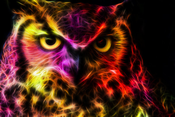 dat_owl_face_doe_by_minimoo64-d7kmiif (1) (700x467, 417Kb)