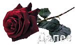 textbase (42) (150x90, 8Kb)