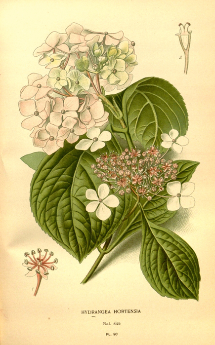 67   10574939953_c77b63b83f_b (435x700, 381Kb)