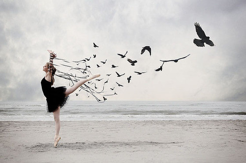 ballet,ballerina,people,makesme,w,o,n,d,e,r,tumblr,com,free,dreams-7bc94c5ef73437ab15f9017422b5cc67_h (500x333, 39Kb)