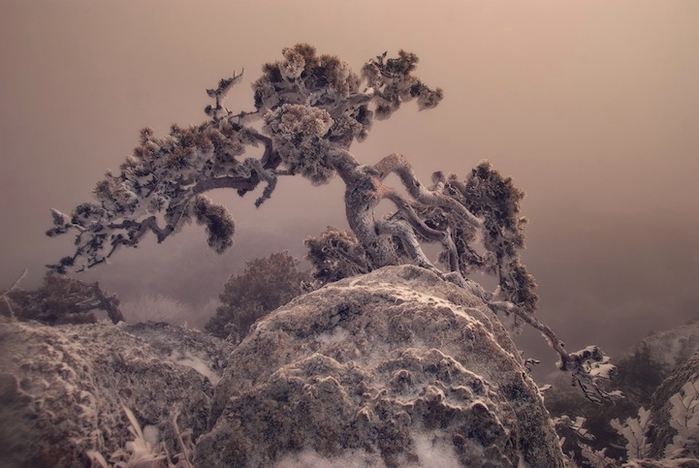 1082090643 (700x468, 207Kb)