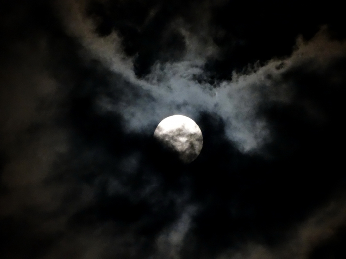 5559494_DSC08768 (700x525, 129Kb)