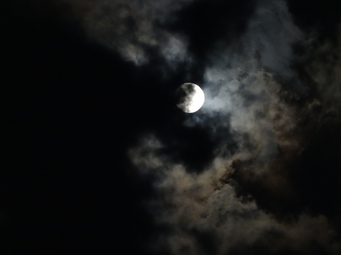5559494_DSC08752 (700x525, 134Kb)