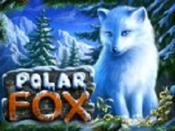 3509984_polar_fox (250x187, 22Kb)