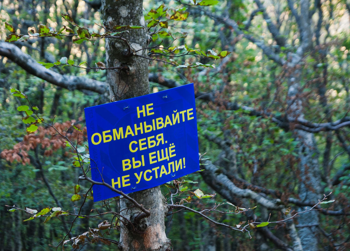 не обманывайте себя (700x502, 521Kb)