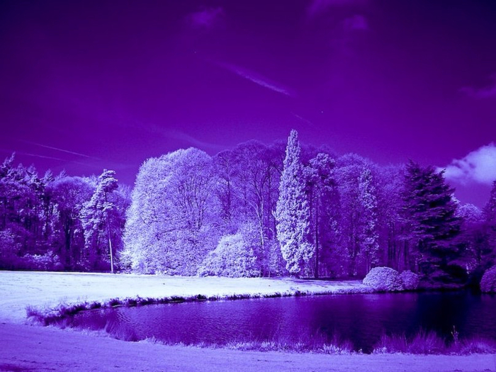 930649__purple-night_p (700x525, 367Kb)