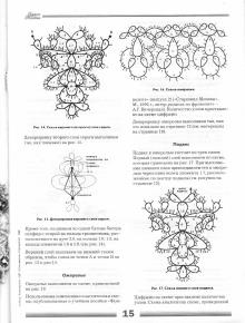 Чудесные мгновения (украшения в технике анкарс)_013 (220x290, 38Kb)