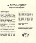  Il Bosco di Bengtsson 7_Renato Parolin (584x700, 639Kb)