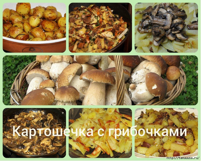 Картошка с грибами1 (700x560, 341Kb)