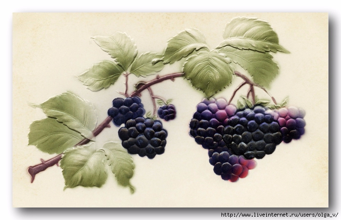 103054790_large_OldDesignShop_BerriesAndLeavesPC (700x452, 200Kb)