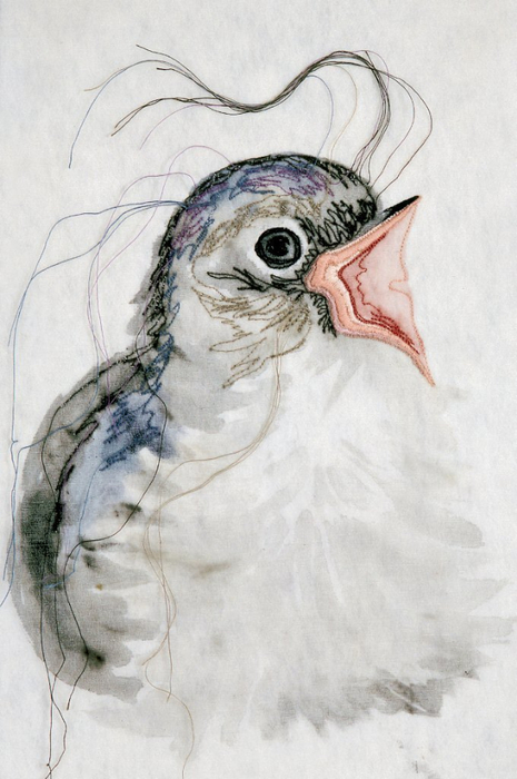 fantail (465x700, 280Kb)