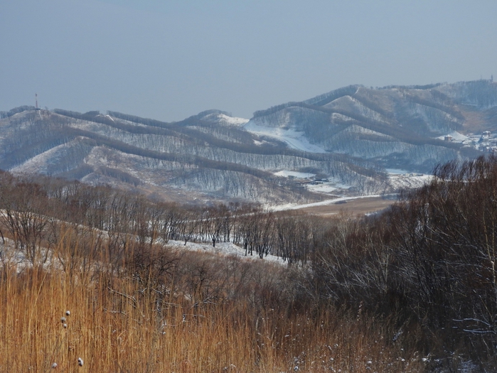 5559494_DSCN4994 (700x525, 273Kb)