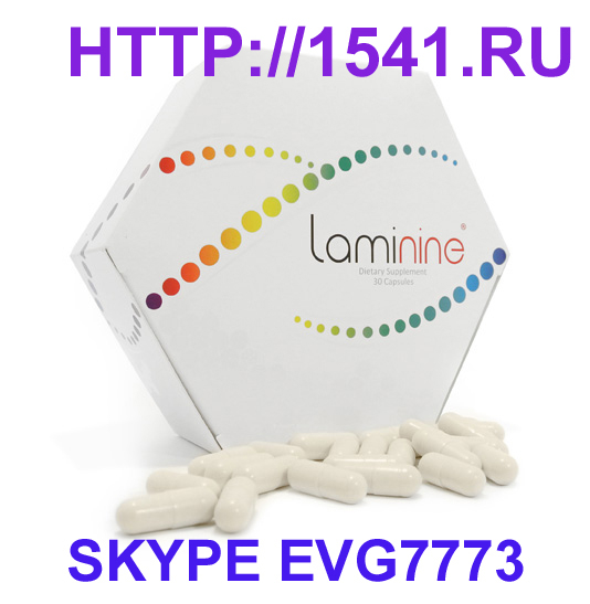 laminine3 SKYPE (534x547, 138Kb)