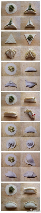 219821_diy-ways-to-wrap-dumpling (135x700, 123Kb)