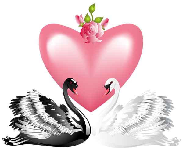 3350917_Valentines_Day_Love_Swans_Transparent_PNG_Clip_Art_Image (600x485, 190Kb)