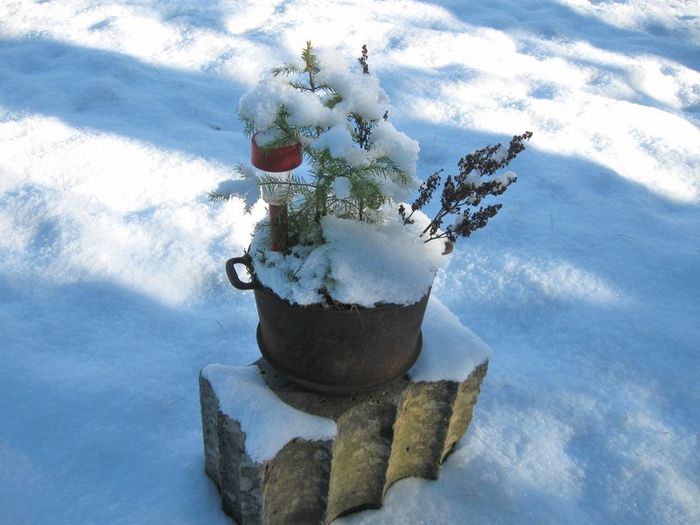 s winter 004 (700x525, 341Kb)