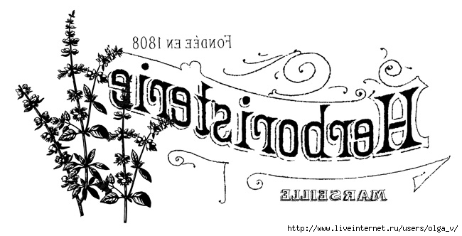 french_herb_shop_rev_Graphi (650x332, 116Kb)