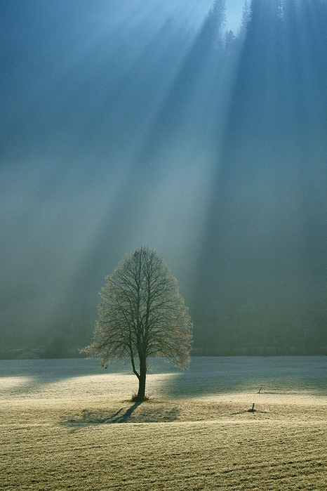 4fa810c4cd4bd0261c775b1c1dfdce89 (466x700, 270Kb)