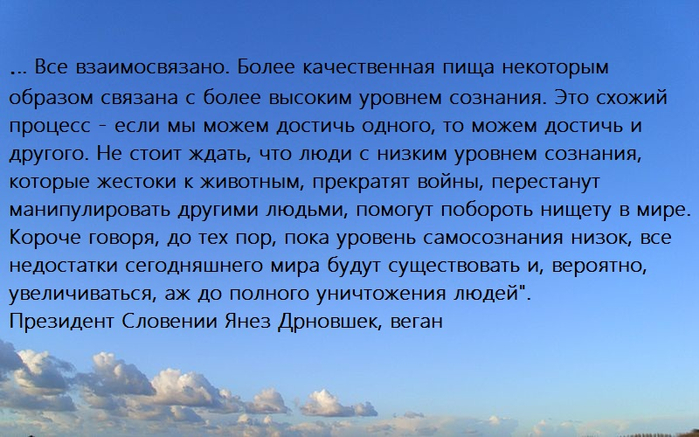 Взаимосвязано. Рассказ на тему в природе все взаимосвязано. В природе всё взаимосвязано 3 класс. В природе все взаимосвязано доклад. В природе все взоимо связоно.