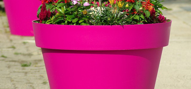 4085414_flowerpot640x300 (640x300, 46Kb)