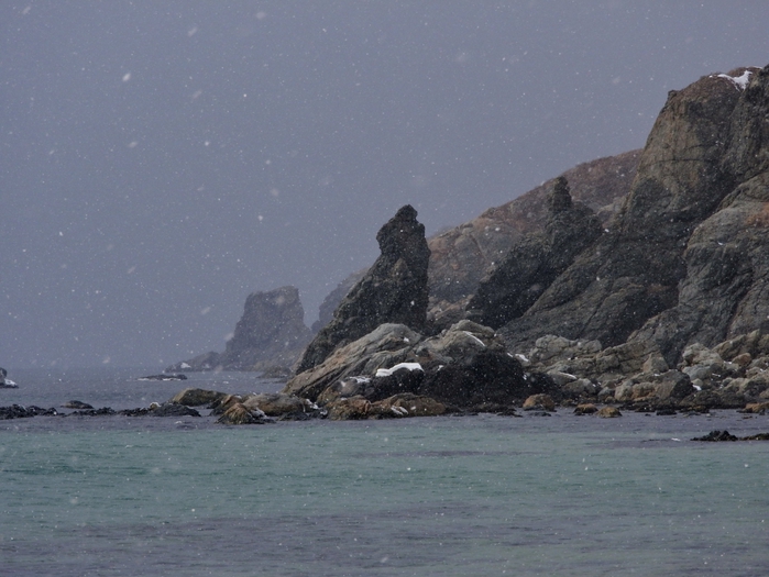 5559494_DSCN5559 (700x525, 250Kb)