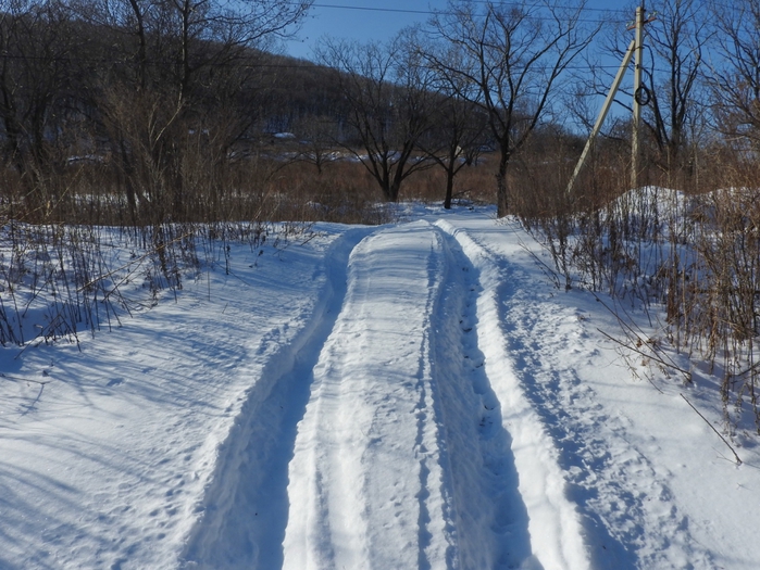 5559494_DSCN5155 (700x525, 317Kb)