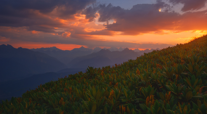 5145824_2 (700x387, 230Kb)
