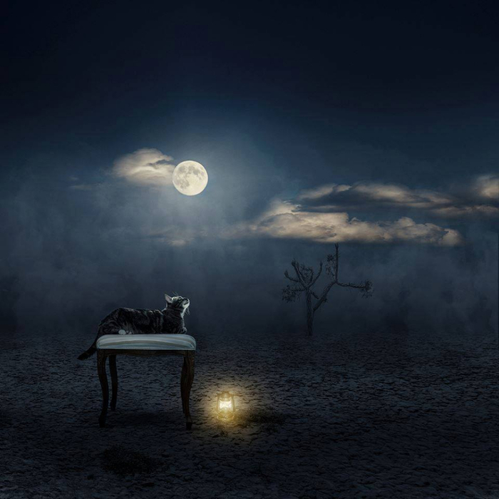 Christine Ellger Tutt'Art@ (69) (700x700, 256Kb)