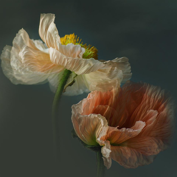 Christine Ellger Tutt'Art@ (46) (700x700, 257Kb)